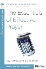 The essentials effective d'occasion  Livré partout en Belgiqu