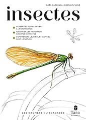 Carnets scarabée insectes d'occasion  Livré partout en France