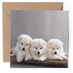 Greeting card samoyed for sale  Delivered anywhere in UK