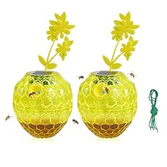 Pack wasp traps for sale  Delivered anywhere in USA 