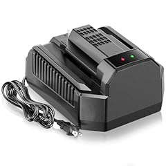 Fast charging replacement for sale  Delivered anywhere in USA 