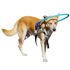 Letpetrun blind dog for sale  Delivered anywhere in UK
