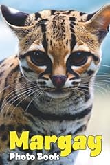 Margay photo book for sale  Delivered anywhere in USA 