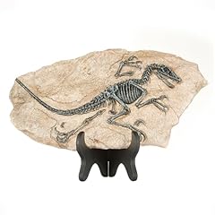 1st heaven dinosaurier gebraucht kaufen  Wird an jeden Ort in Deutschland