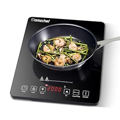 Plaque induction portable d'occasion  Livré partout en France
