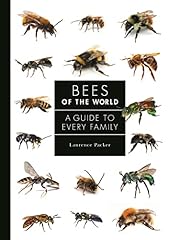 Bees the world usato  Spedito ovunque in Italia 