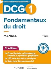 Dcg fondamentaux droit d'occasion  Livré partout en France