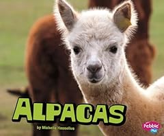 Alpacas for sale  Delivered anywhere in USA 