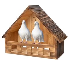 Swangsa mourning dove for sale  Delivered anywhere in USA 
