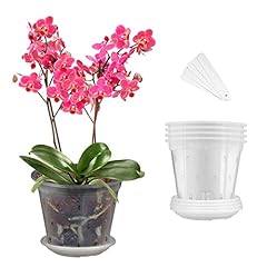 Chtaso pack orchid for sale  Delivered anywhere in USA 