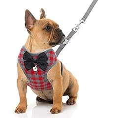 Rypet small dog for sale  Delivered anywhere in USA 