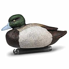 Doa bluebill duck for sale  Delivered anywhere in USA 