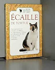 chat ecaille tortue d'occasion  Livré partout en France