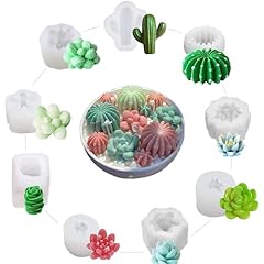 Navani pack succulent for sale  Delivered anywhere in USA 