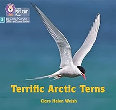 Terrific arctic terns for sale  Delivered anywhere in UK