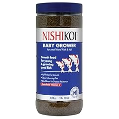 Nishikoi baby grower for sale  Delivered anywhere in UK