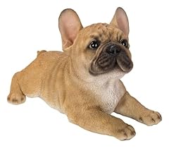 Vivid arts bouledogue d'occasion  Livré partout en France