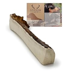 Antler chew medium for sale  Delivered anywhere in UK