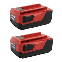 2packs b22 22v usato  Spedito ovunque in Italia 