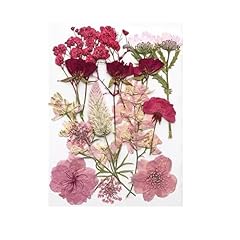 Arcjunys dried pressed for sale  Delivered anywhere in UK
