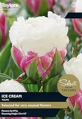 Taylors bulbs tulip for sale  Delivered anywhere in UK
