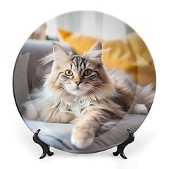 Siberian forest cat for sale  Delivered anywhere in UK