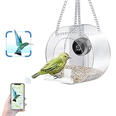 Clear window bird for sale  Delivered anywhere in UK