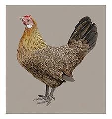 Chicken print for sale  Delivered anywhere in UK