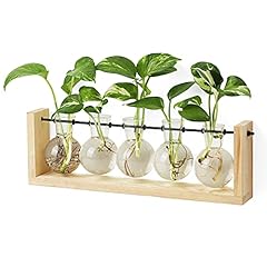 Mkono plant terrarium for sale  Delivered anywhere in USA 