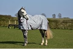 Fill turnout horse for sale  Delivered anywhere in UK