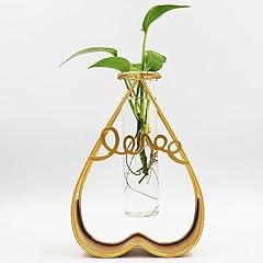 Sosfkim plant terrarium for sale  Delivered anywhere in USA 