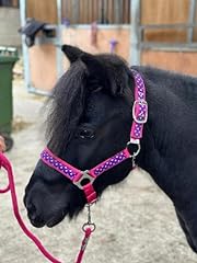 Polka dot headcollar for sale  Delivered anywhere in UK