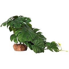 Woledoe reptile plants for sale  Delivered anywhere in USA 