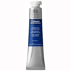Winsor newton cotman for sale  Delivered anywhere in USA 