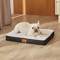 Liorce medium dog for sale  Delivered anywhere in USA 