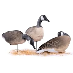 Heerweiyi canada goose for sale  Delivered anywhere in USA 