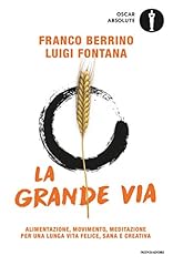Grande via alimentazione usato  Spedito ovunque in Italia 