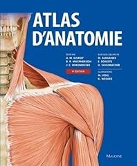 Atlas anatomie 4e d'occasion  Livré partout en France