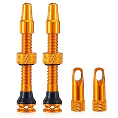 2pezzi bike tubeless usato  Spedito ovunque in Italia 