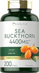 Carlyle sea buckthorn for sale  Delivered anywhere in USA 