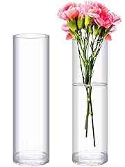 Pieces cylinder glass for sale  Delivered anywhere in USA 
