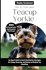 Train teacup yorkies for sale  Delivered anywhere in UK