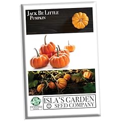 Jack little pumpkin for sale  Delivered anywhere in USA 