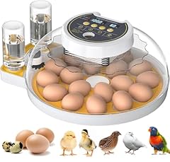 Upgrade egg incubator for sale  Delivered anywhere in UK