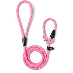 Wepet dog training for sale  Delivered anywhere in USA 