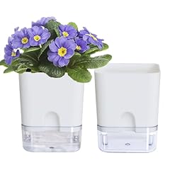 Oliz plant pots for sale  Delivered anywhere in USA 