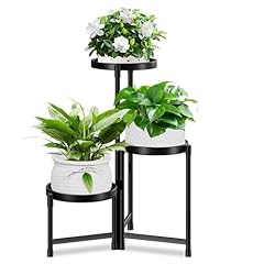 Helijuye tier plant for sale  Delivered anywhere in USA 