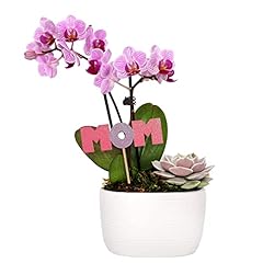 Mother day flower for sale  Delivered anywhere in USA 