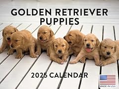 Golden retriever puppy for sale  Delivered anywhere in USA 