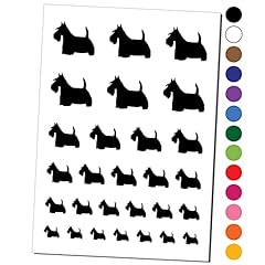 Scottish terrier scottie for sale  Delivered anywhere in USA 